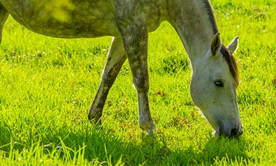 Client Information Form