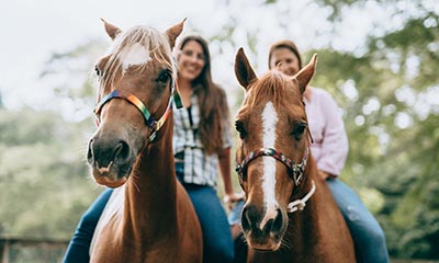 Hours Disclosure Form