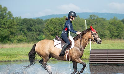 Sports Medicine Sports