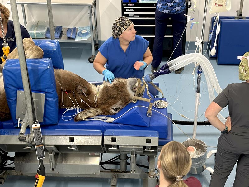 A surgical procedure